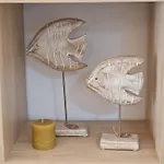 Casa Coral *