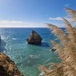 Casa Coral