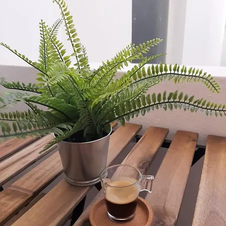Casa Coral דירה קארבואירו
