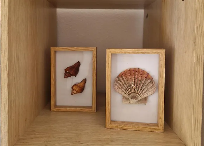 Casa Coral 卡武埃鲁